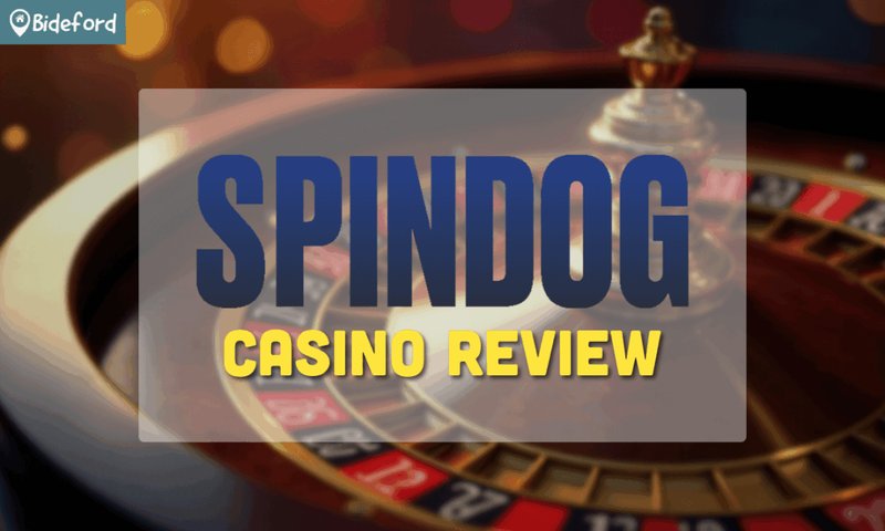 Discover the Thrills of Spindog Casino Online in the UK Today - overview